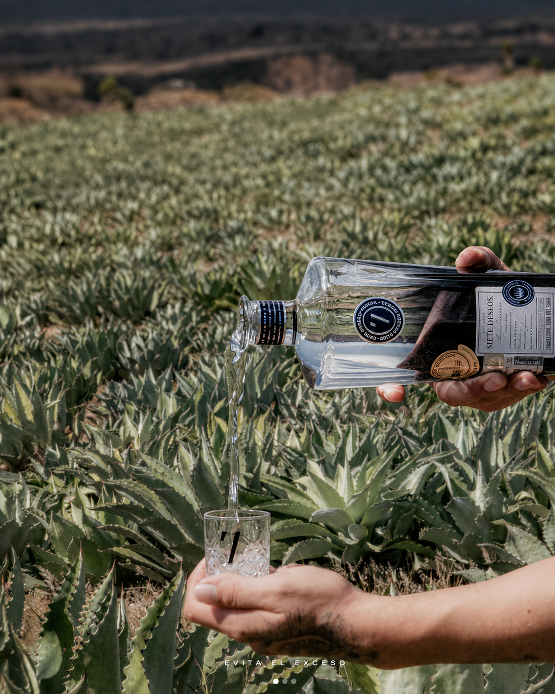 Origen del mezcal SIE7E DESEOS